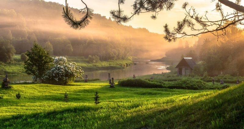 Пыльное начало лета... фото превью