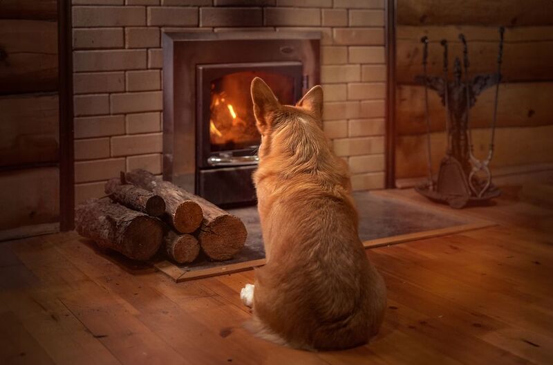 Одни домаphoto preview