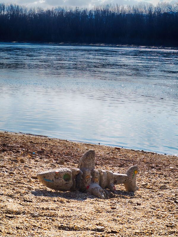 Danubian sharksphoto preview