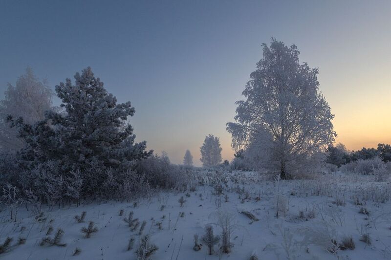 зима иней лес утро рассвет мороз изморозь Зимняя тишинаphoto preview