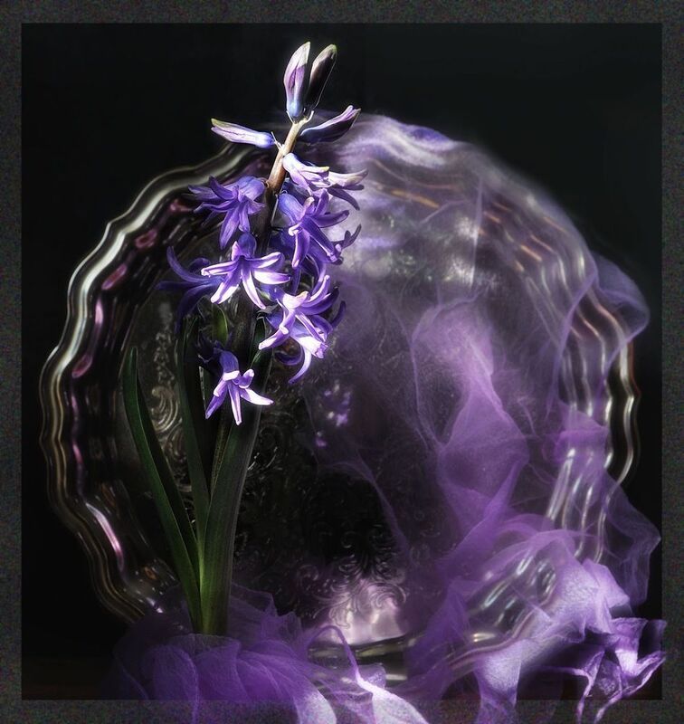 Я смотрю и думаю- вот весна…photo preview