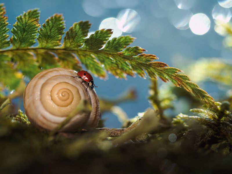 Врываясь в весну! фото превью