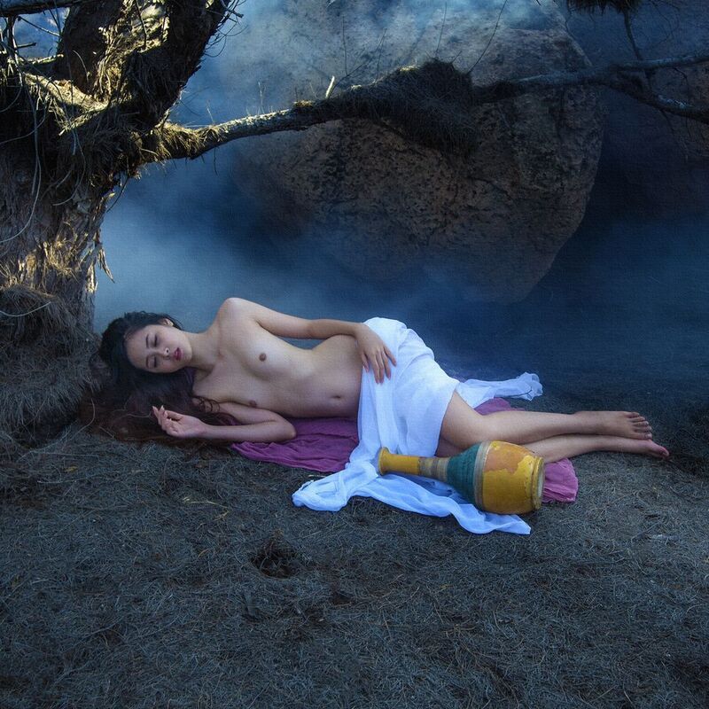 Dream under the ancient treephoto preview