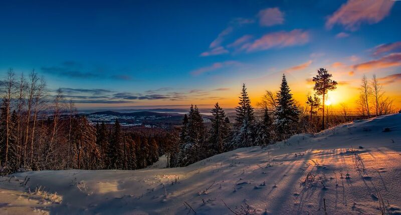 Утренние тениphoto preview