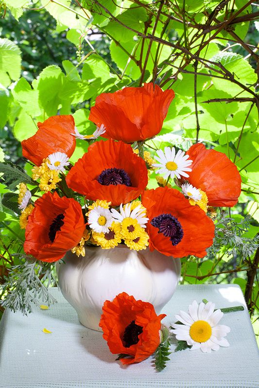 натюрморт Макиphoto preview