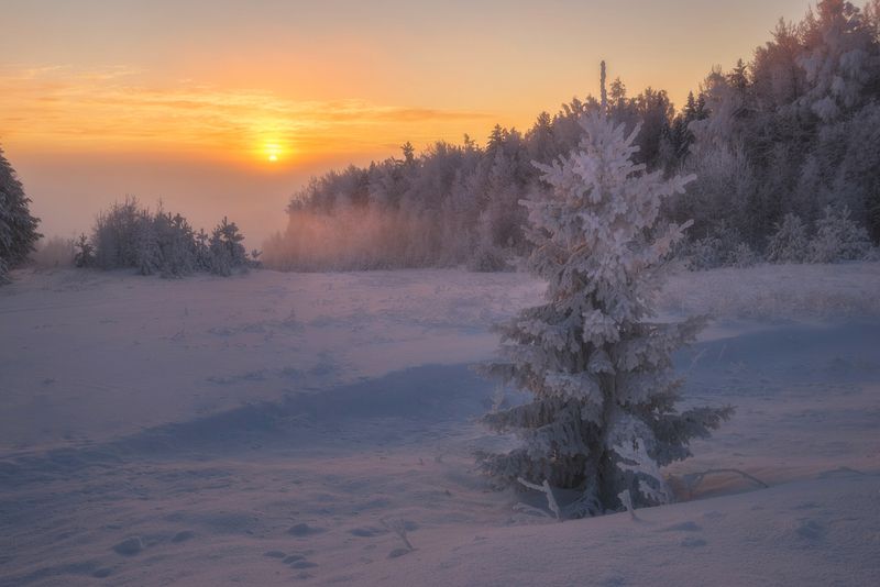 Восход в морозном туманеphoto preview