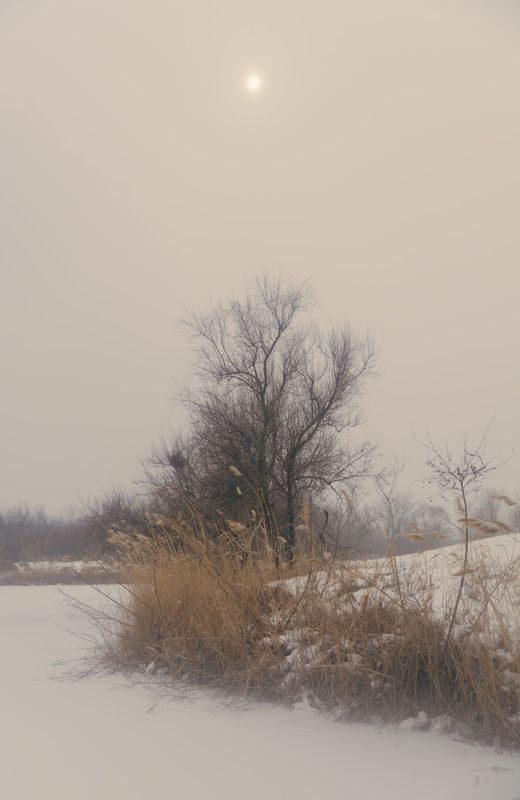 winter, twilight, snow, village, frozen, country, tree, Последний день зимы.photo preview