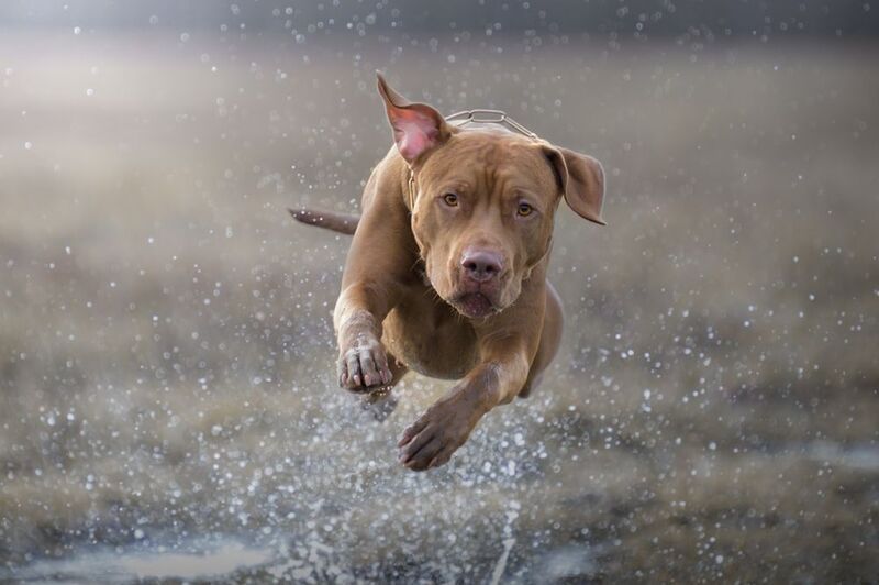 В полетеphoto preview