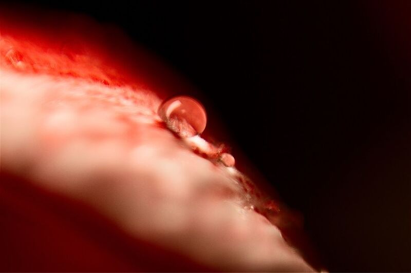 The dropphoto preview