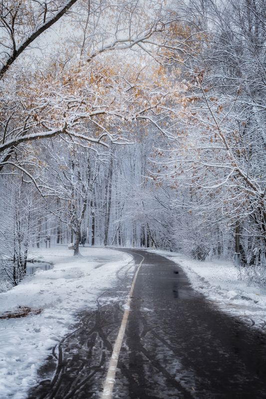зима, winter, landscape, природа, nature, пейзаж, лес, forest ***photo preview