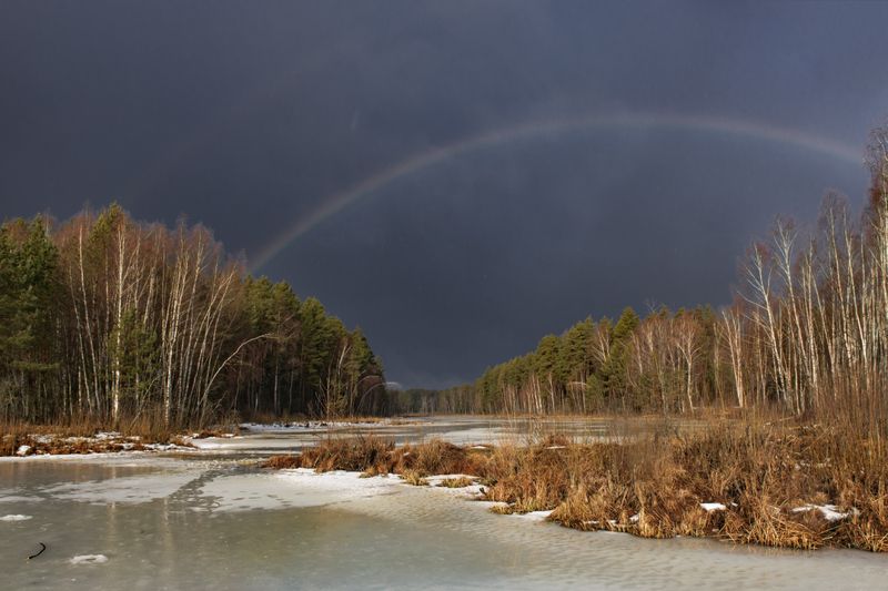 март черная порза дождь радуга весна серково Весенняя радугаphoto preview