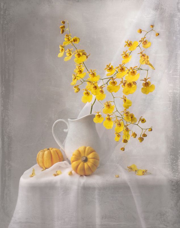 still life, yellow, white, light, texture Yellow dreamphoto preview