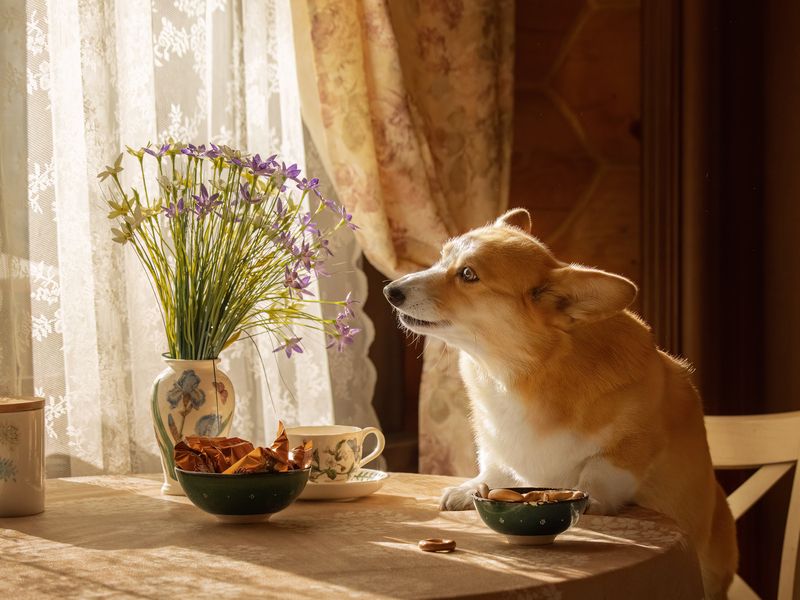 Одни домаphoto preview