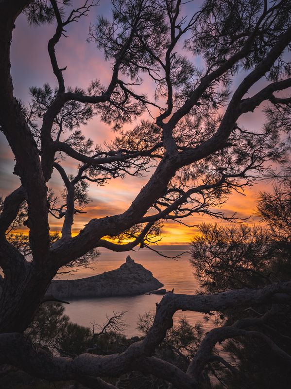 Рассвет в Новом светеphoto preview