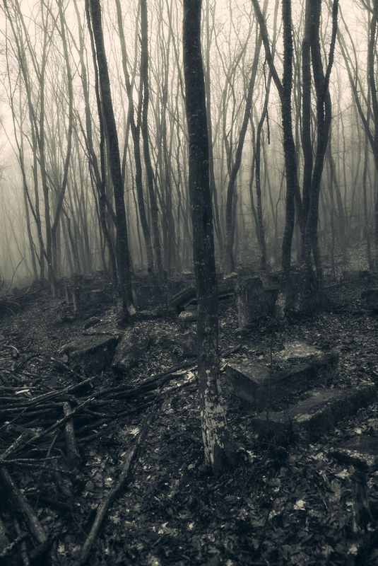 покой в забвенье тишиныphoto preview