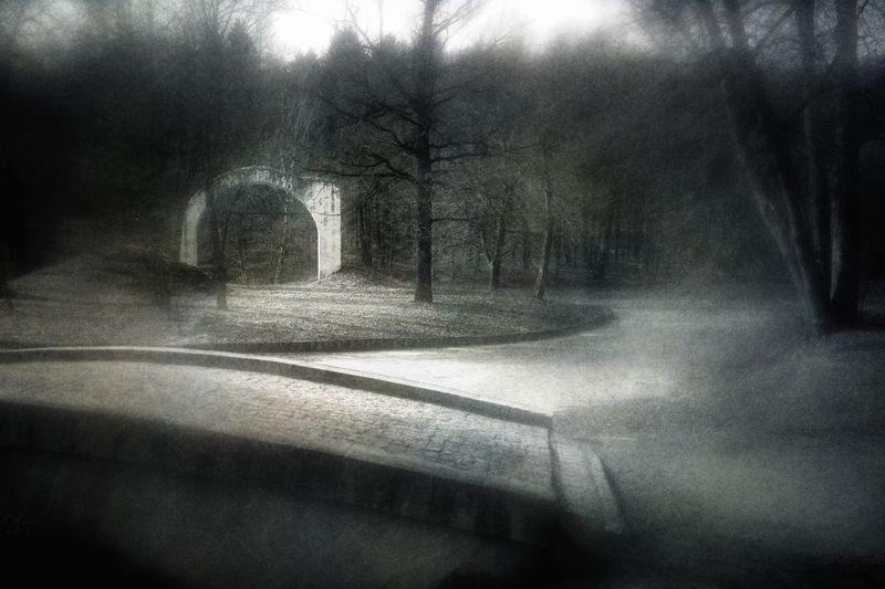 чб, пейзаж, парк Перед пробуждением.photo preview