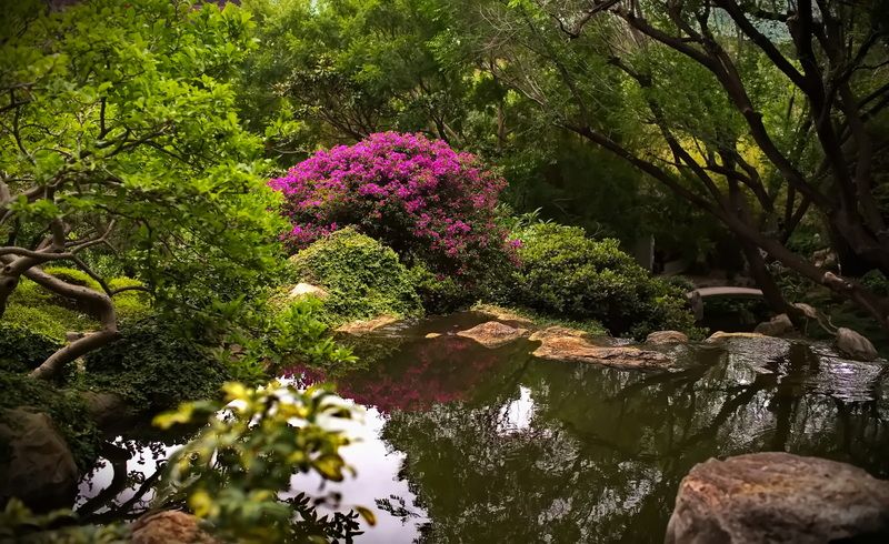 Австралия Там где живут ибисыphoto preview