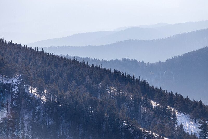 природа, туман, лес, горы, заповедник столбы Градиентыphoto preview