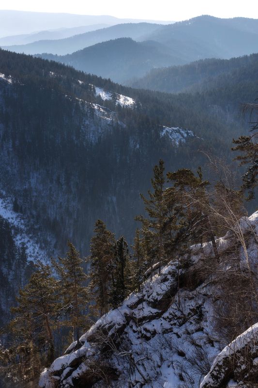 природа, туман, лес, горы,столбы \