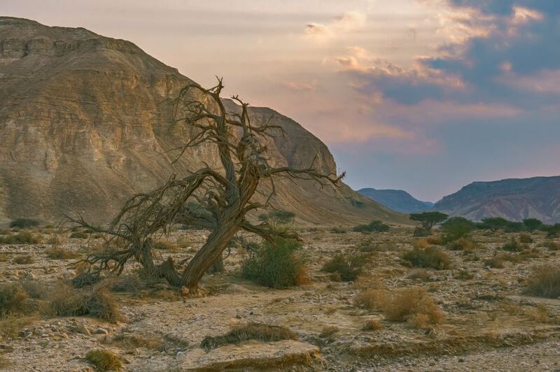 Арава фото превью