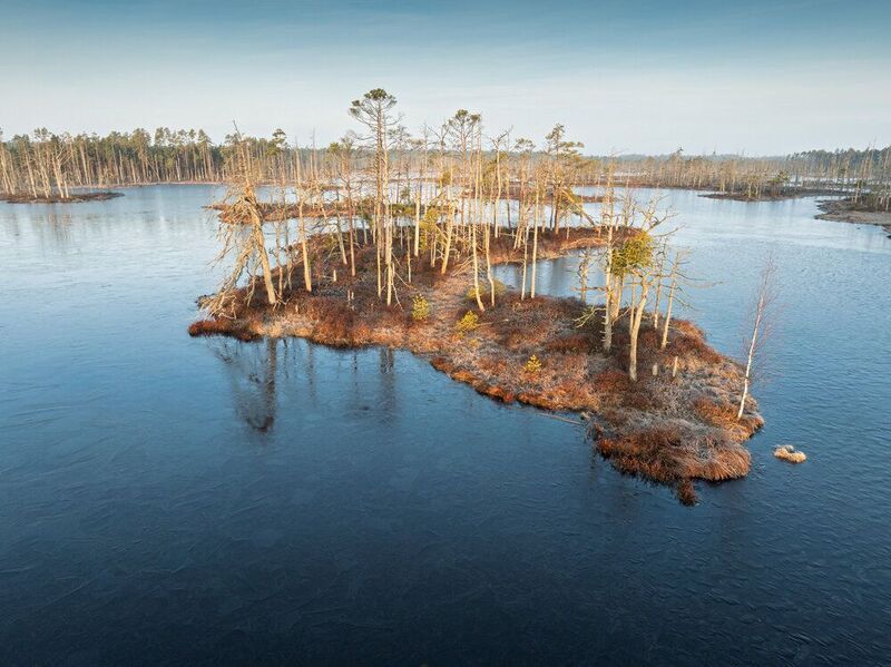 #bog #spring #morning #latvia Утро в марте фото превью
