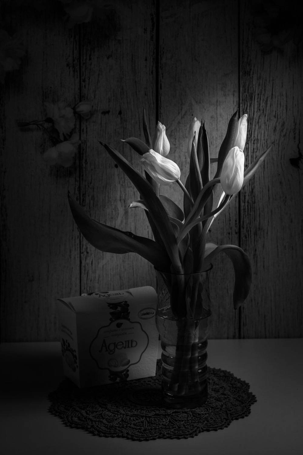 Луч света. Автор: Александр Мезенцев , Александр Мезенцев