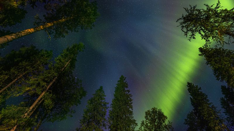 Сияние Коми. Нацпарк Койгородскийphoto preview