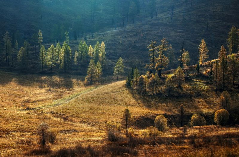 летние закаты photo preview