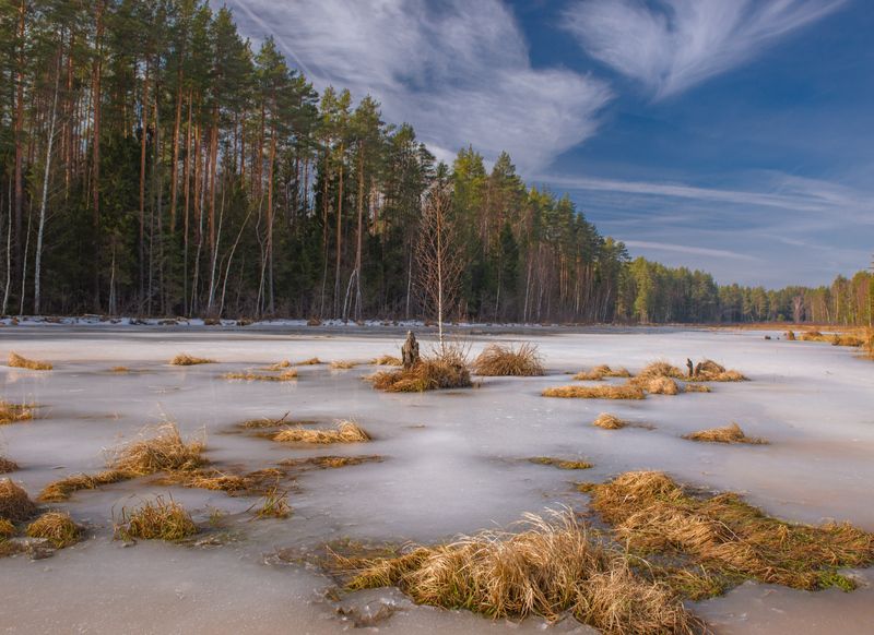 март весна лес речка суходол серково вязниковский район Март, Суходол в солнечный день.photo preview