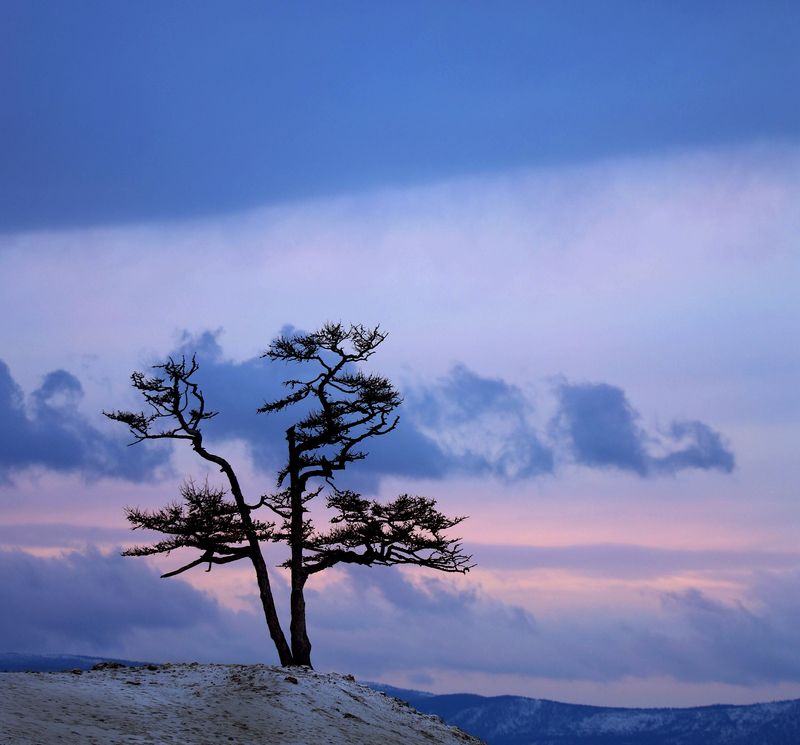 одинокоеphoto preview