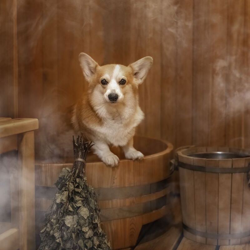 Одни домаphoto preview