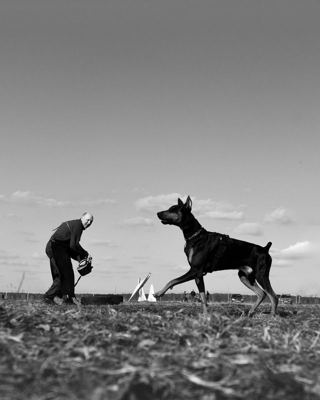 Никого не вижу, ничего не слышуphoto preview