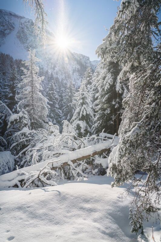 passo del Tonalephoto preview