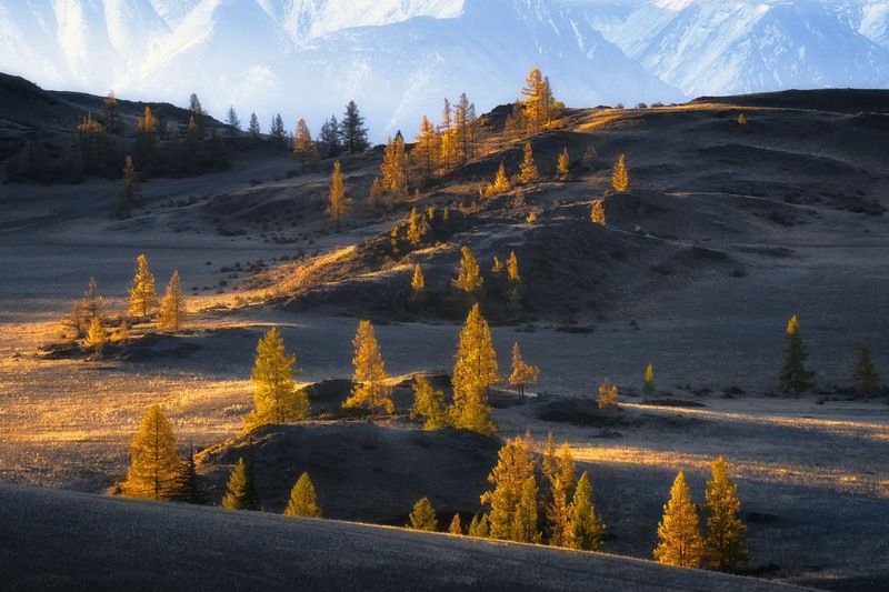 Алтайphoto preview