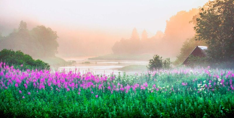 Время сиесты фото превью