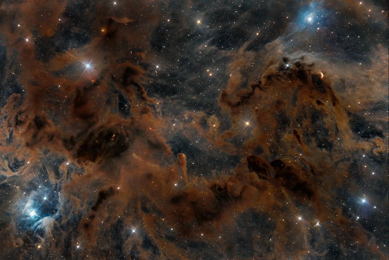 Космический кракен.photo preview