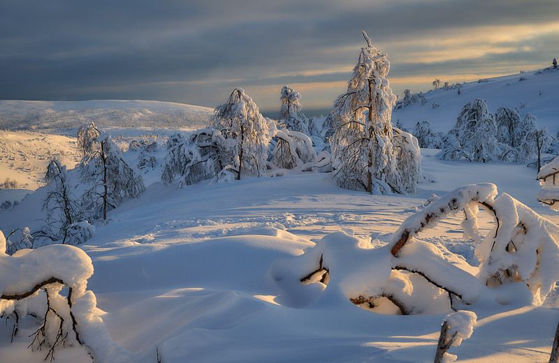 Хибинское кружево.photo preview