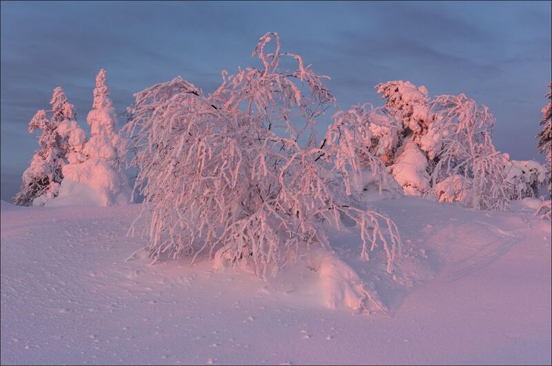 Заполярье в феврале (продолжение)photo preview
