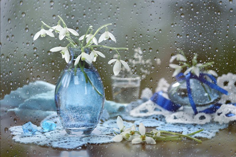 весна, цветы, подснежники, ваза Подснежникиphoto preview