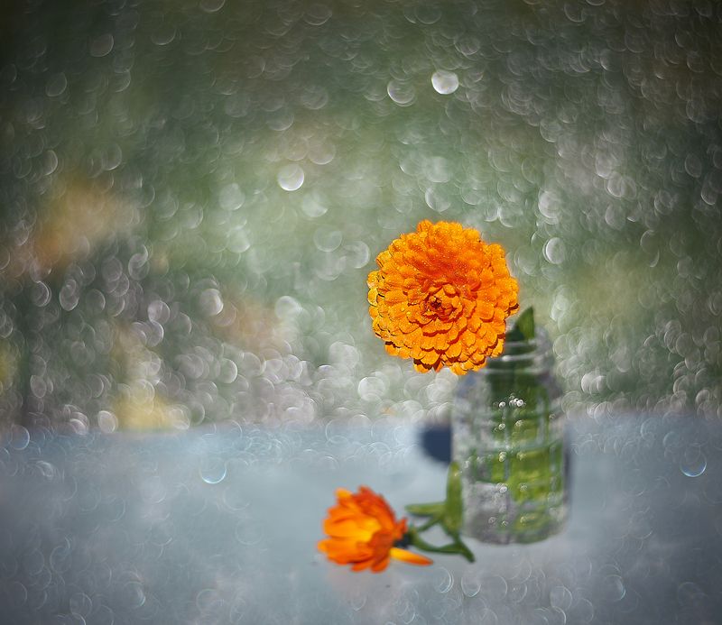 ----------- фото превью