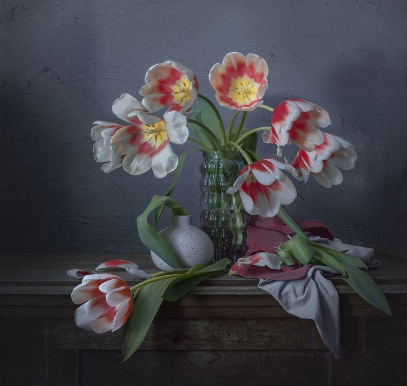 Вестники весны фото превью