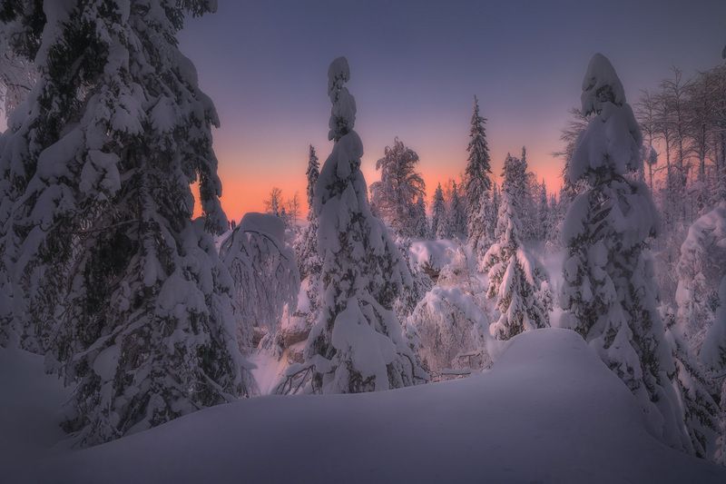 северныйурал, урал, ветлан, пермь, пермскийкрай В зимнем лесуphoto preview