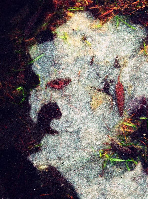 pareidolia Парейдолия (замёрзшая лужа)photo preview