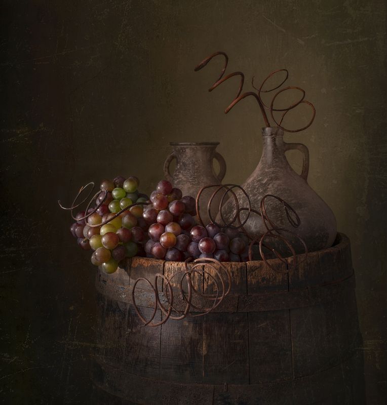still life, grape, light, shadow, colors The harvestphoto preview