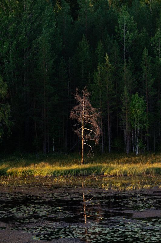 Одиночествоphoto preview