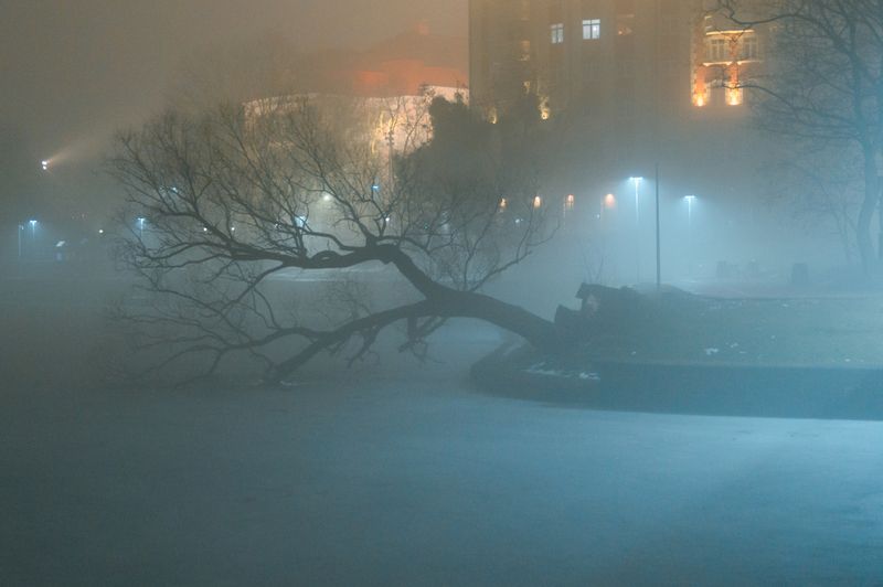 калининград, ночь, туман, свет, тени photo preview