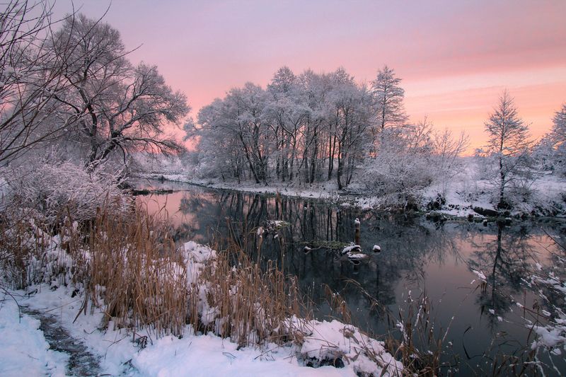 ********photo preview