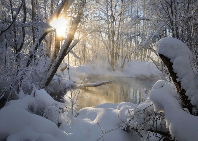 Зимний денёк.photo preview