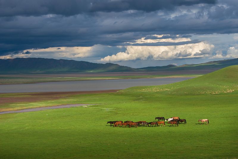 маки казахстан семиречье тянь-шань тяньшань тузколь каинды кольсай хантенгри Тузколь. Фототур в Семиречье, Казахстан фото превью