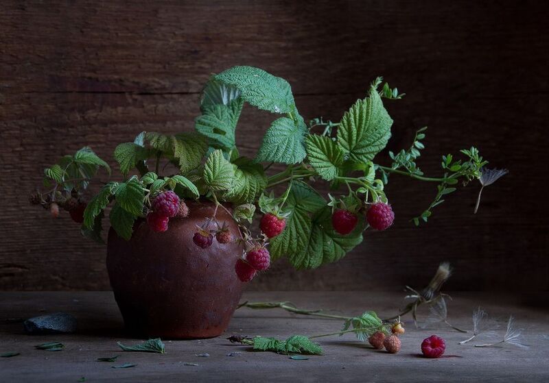 лето, малина Ветка малиныphoto preview